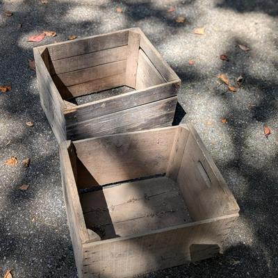 Apple Orchard Boxes