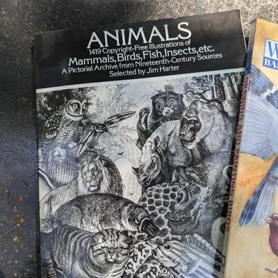 Art Books