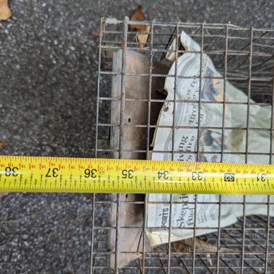Catch & Release Cage