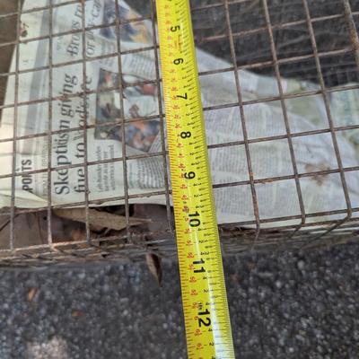 Catch & Release Cage