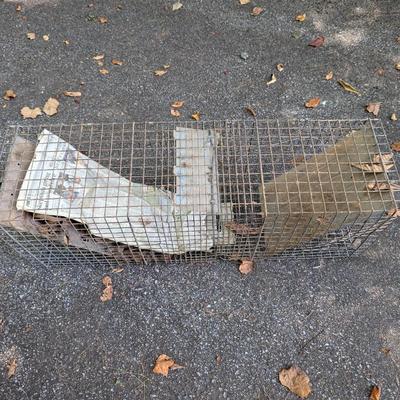 Catch & Release Cage