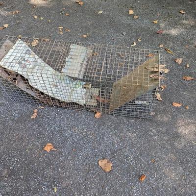 Catch & Release Cage