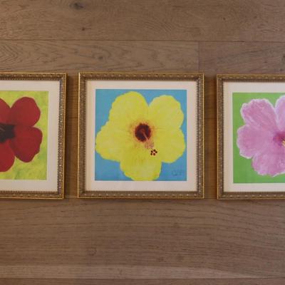 Original Art of Hibiscus Flowers by Carol Burch (3)
