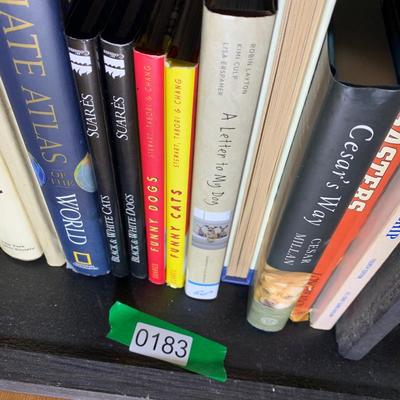 Misc. Mixed Titles / Authors / Subject Book Lot