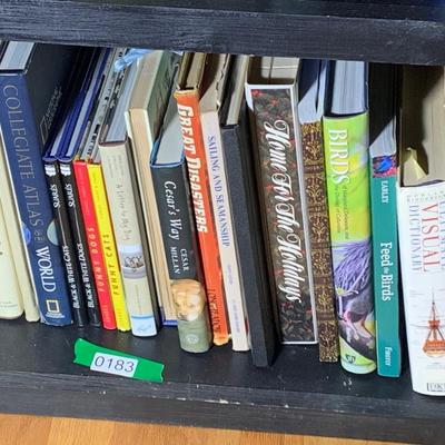 Misc. Mixed Titles / Authors / Subject Book Lot