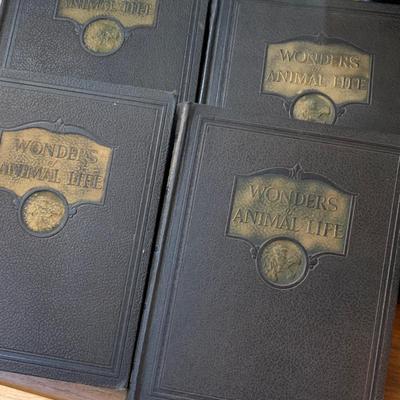 Vintage Wonders of Animal Life 4 Volume Set