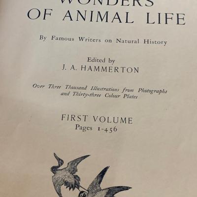Vintage Wonders of Animal Life 4 Volume Set