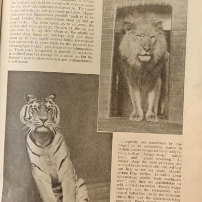 Vintage Wonders of Animal Life 4 Volume Set