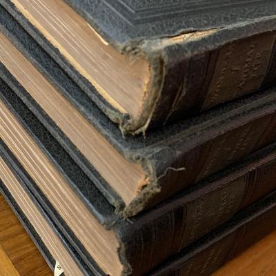 Vintage Wonders of Animal Life 4 Volume Set