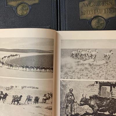 Vintage Wonders of Animal Life 4 Volume Set