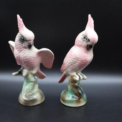 Pair of Vintage Cockatoos