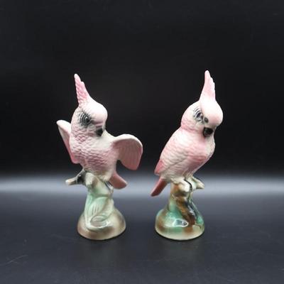 Pair of Vintage Cockatoos