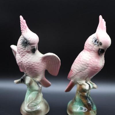 Pair of Vintage Cockatoos