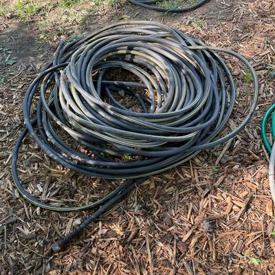 Pile of garden hoses