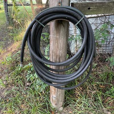 Hose*