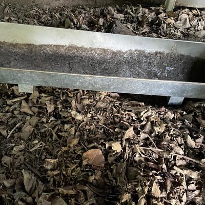 Galvanized rectangular planter