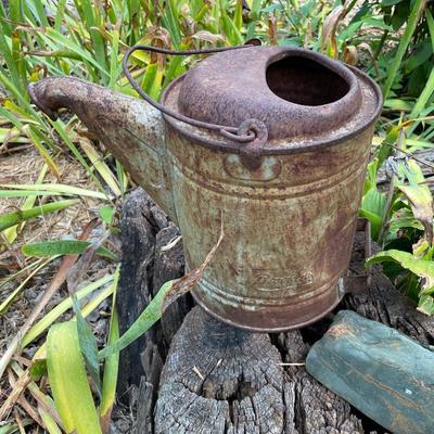 Rusty watering can
