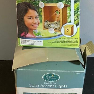 Solar Lights and Bird House