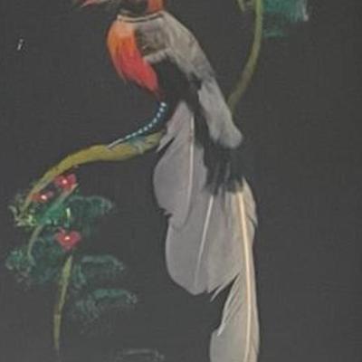 Signed Mexico Bird Feather Collage