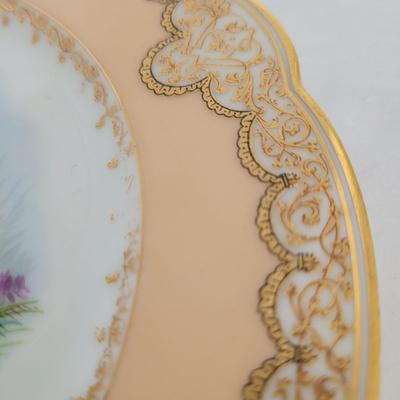 Limoges France Decorative Plates and More (K-CE)