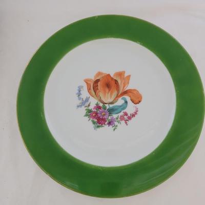Bavaria Tirschenreuth Dinner Plates (K-CE)