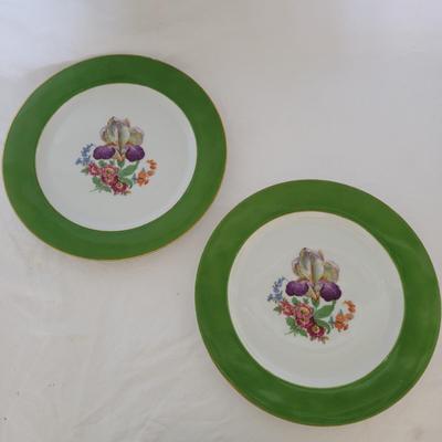 Bavaria Tirschenreuth Dinner Plates (K-CE)