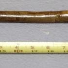 Burled Wood Walking Stick