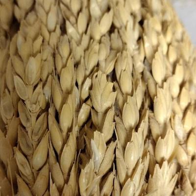 Wheat Straw Bison