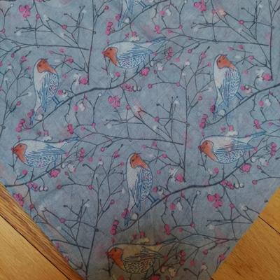 Women's Fashion Scarves (PC2-BBL)