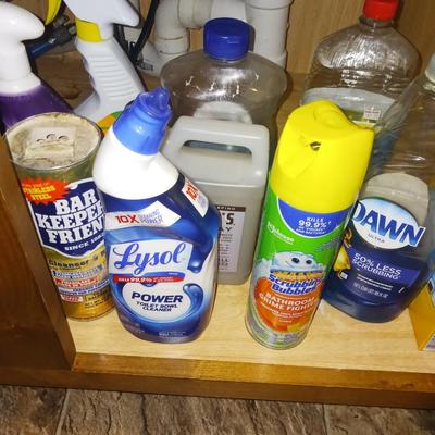 HOUSEHOLD CLEANERS