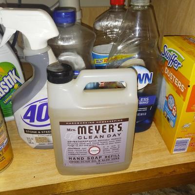 HOUSEHOLD CLEANERS