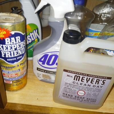 HOUSEHOLD CLEANERS