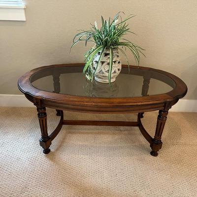BEAUTIFUL OVAL COFFEE TABLE WITH FAUX PLANT