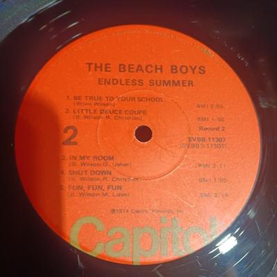 2 BEACH BOYS AND BRYAN ADAMS VINYL RECORDS W/NO JACKETS