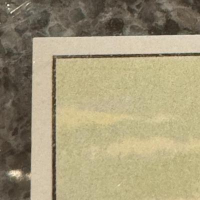 $300,000 baseball card? Ted Williams No.165 of the 1951 Bowman series PSA 10 Contender