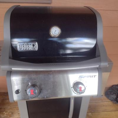 Weber Spirit Propane Grill