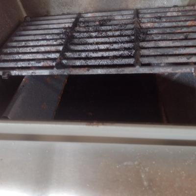 Weber Spirit Propane Grill