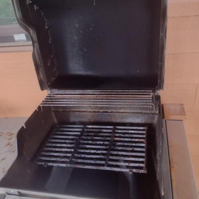 Weber Spirit Propane Grill