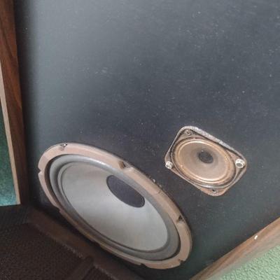 Pair of Vintage EV-14 Speakers