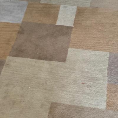 95” x 58” Area Rug