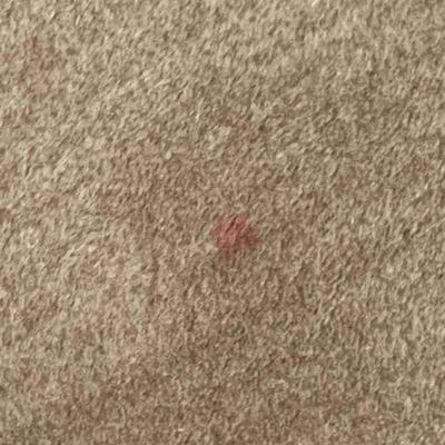 95” x 58” Area Rug