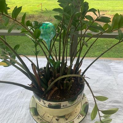Plant in Fancy Tea Cup Pot