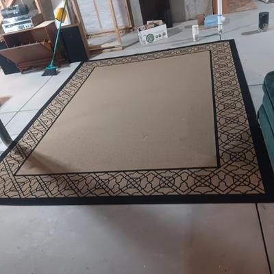 AREA RUG 96 x 119