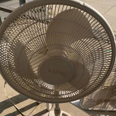 Two Fans