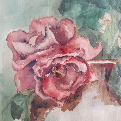 Full Bloom Signed Watercolor by M. R. Haywood (DR-KD)