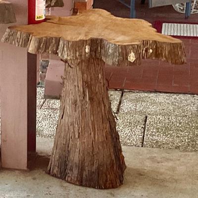 Cypress stump and cookie maker it into a table or something else