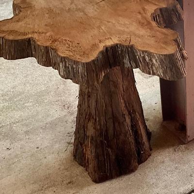 Cypress stump and cookie maker it into a table or something else