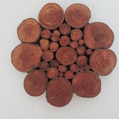 Nature Inspired Collection (GB-KD)