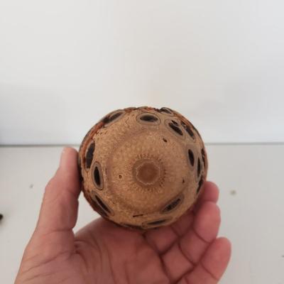 Nature Inspired Collection (GB-KD)