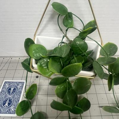 Wall Planters